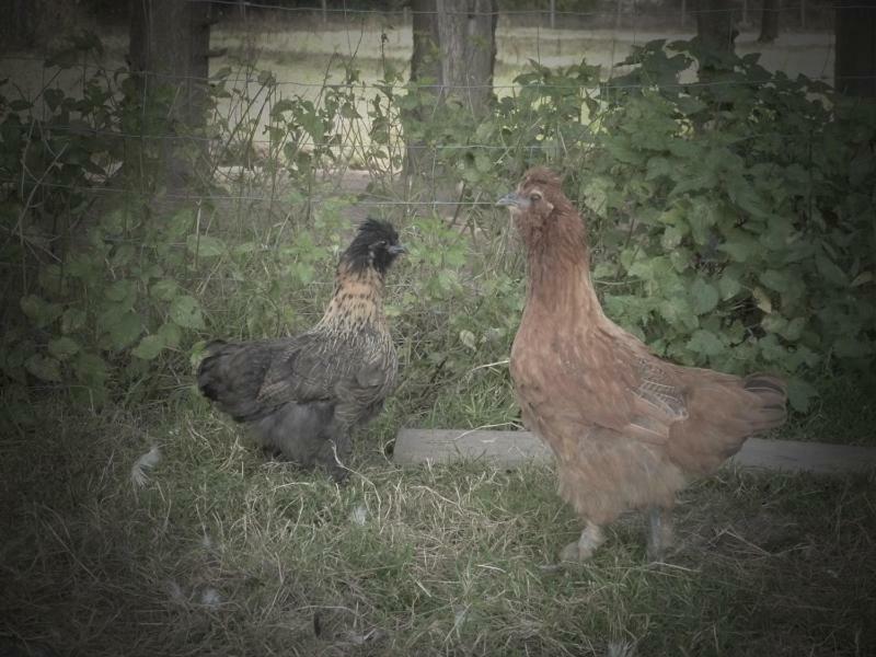 مبيت وإفطار فان La Ferme Du Vincin المظهر الخارجي الصورة