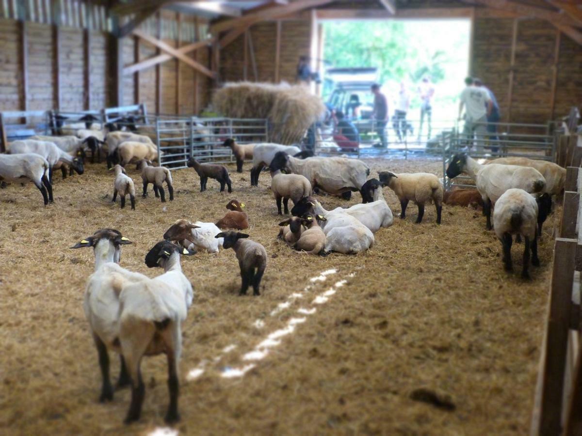 مبيت وإفطار فان La Ferme Du Vincin المظهر الخارجي الصورة